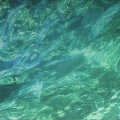 Cytoplasmic Scarf - Image 3