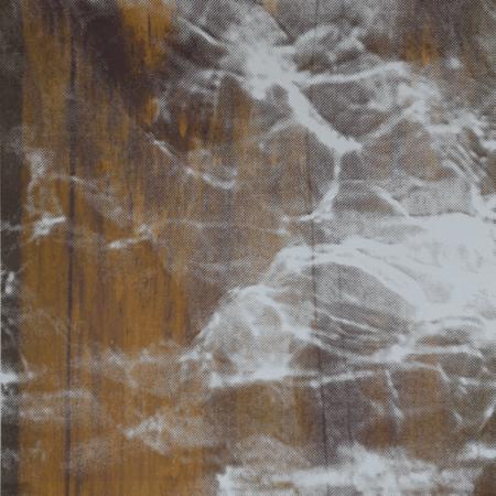 Streaks of Oranges and Purples