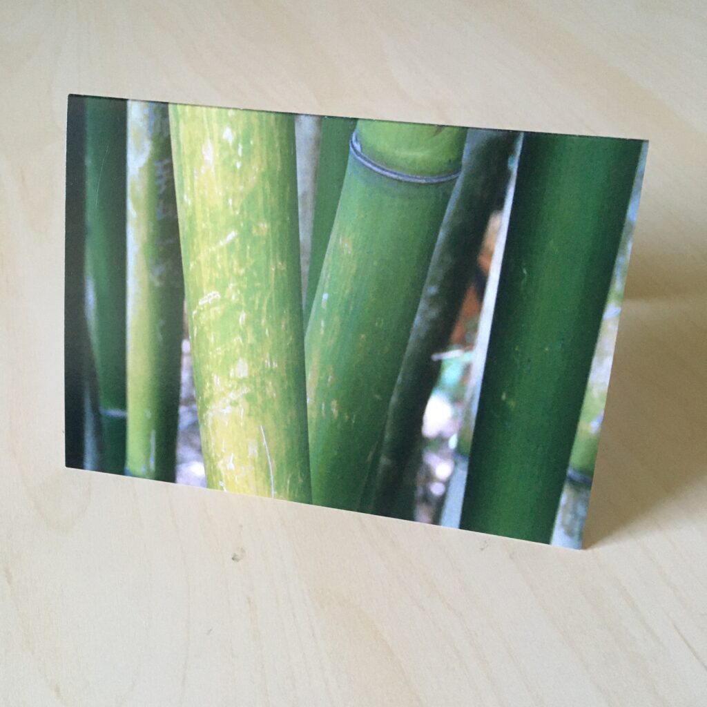 Bamboo Stalks